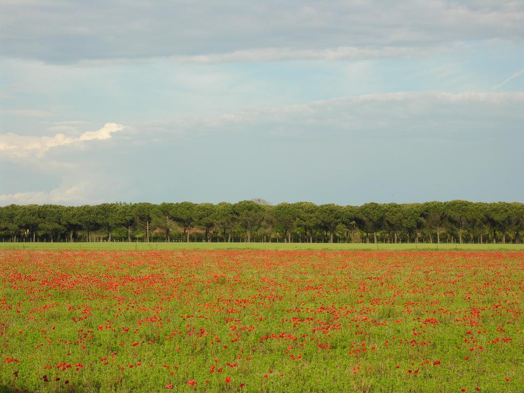 Appartamenti Alaska Bibione Zewnętrze zdjęcie